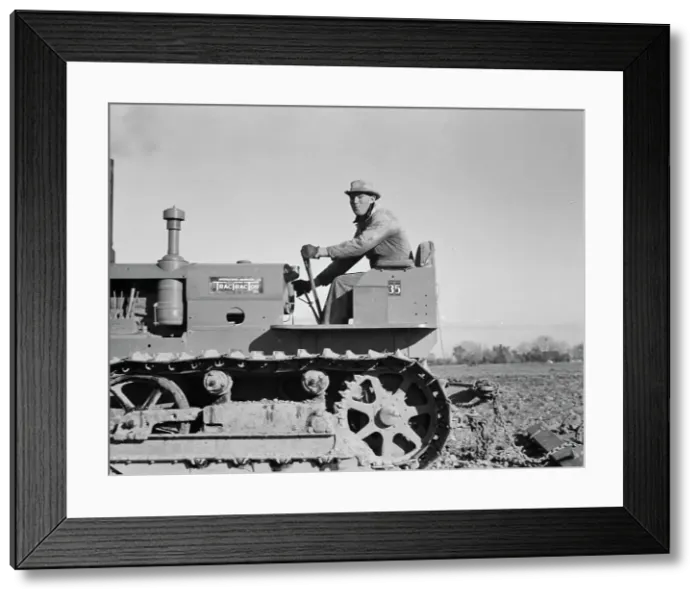 Framed Print : Cultivating potato-fields, west side of San Joaquin Valley, California, 1939. Creator: Dorothea Lange Framed Print : Cultivating potato-fields, west side of San Joaquin Valley, California, 1939. Creator: Dorothea Lange
