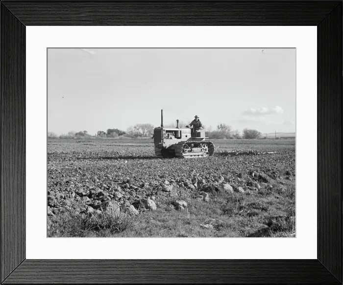 Framed Print : Cultivating potato field, California, 1939. Creator: Dorothea Lange Framed Print : Cultivating potato field, California, 1939. Creator: Dorothea Lange