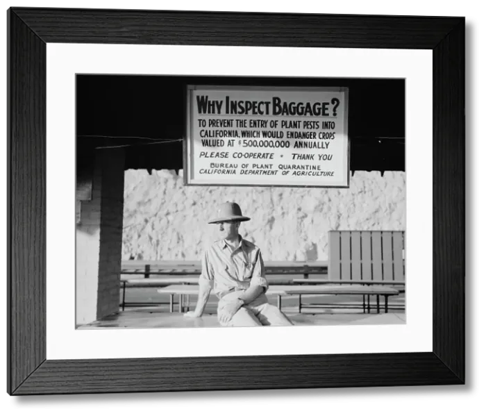Framed Print : California state quarantine inspection station at Yuma, Arizona, 1937. Creator: Dorothea Lange Framed Print : California state quarantine inspection station at Yuma, Arizona, 1937. Creator: Dorothea Lange
