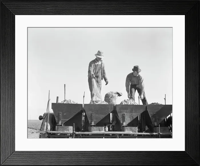 Framed Print : Loading bins of potato planter with fertilizer and seed from trailer... Kern County, CA, 1939. Creator: Dorothea Lange