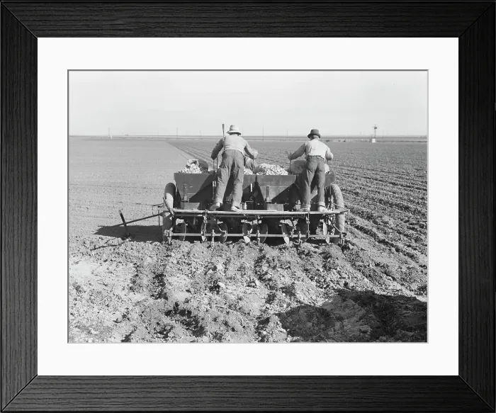 Framed Print : Large-scale, mechanized farming - potato planter, Kern County, California, 1939. Creator: Dorothea Lange Framed Print : Large-scale, mechanized farming - potato planter, Kern County, California, 1939. Creator: Dorothea Lange