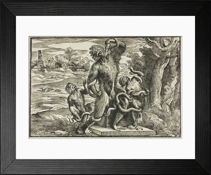 Framed Print : Laöcoon, 1540 / 45. Creator: Nicolo Boldrini Framed Print : Laöcoon, 1540 / 45. Creator: Nicolo Boldrini