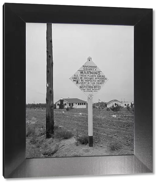 Sign on road entering California where there is now plant quarantine inspection, 1937. Creator: Dorothea Lange