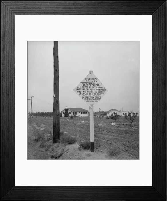 Framed Print : Sign on road entering California where there is now plant quarantine inspection, 1937. Creator: Dorothea Lange Framed Print : Sign on road entering California where there is now plant quarantine inspection, 1937. Creator: Dorothea Lange