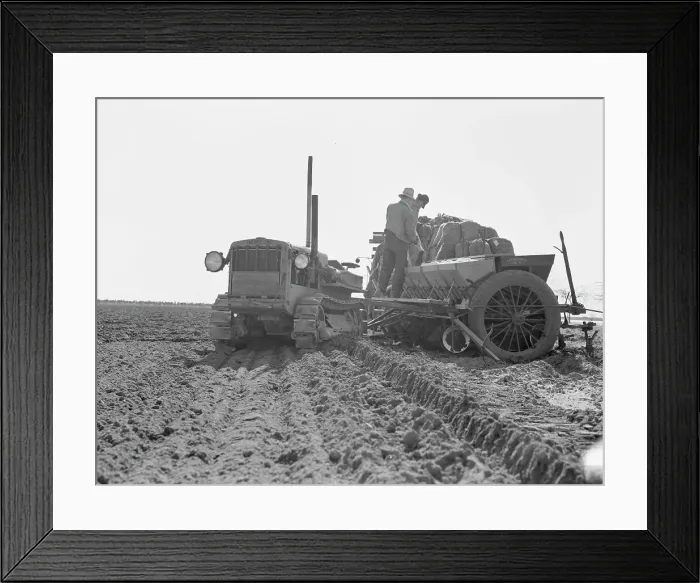 Framed Print : Loading bins of potato planter with fertilizer and seed... Kern County, California, 1939. Creator: Dorothea Lange Framed Print : Loading bins of potato planter with fertilizer and seed... Kern County, California, 1939. Creator: Dorothea Lange