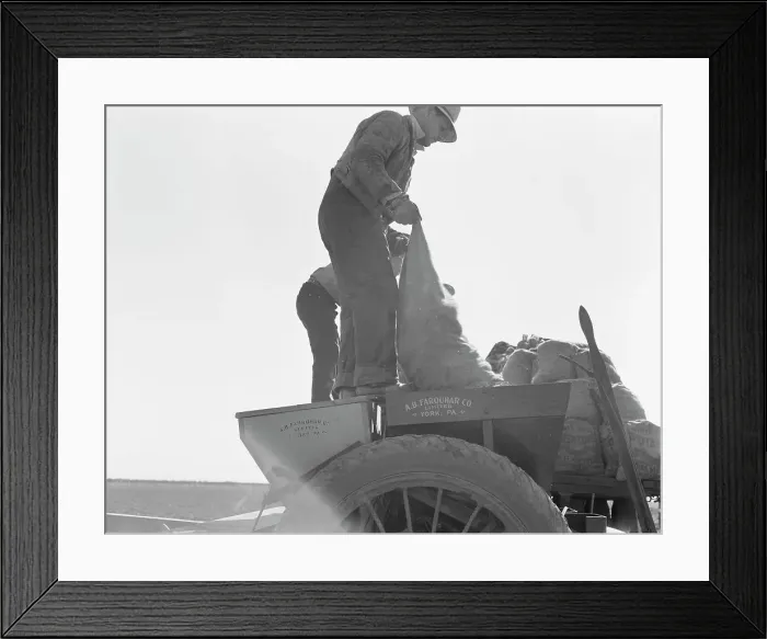 Framed Print : Loading bins of potato planter with fertilizer and seed... Kern County, California, 1939. Creator: Dorothea Lange