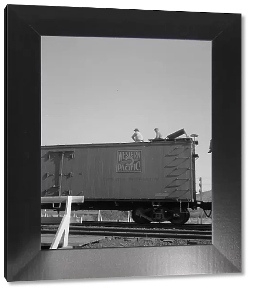 Freight moving east near Odessa, Texas, 1937. Creator: Dorothea Lange