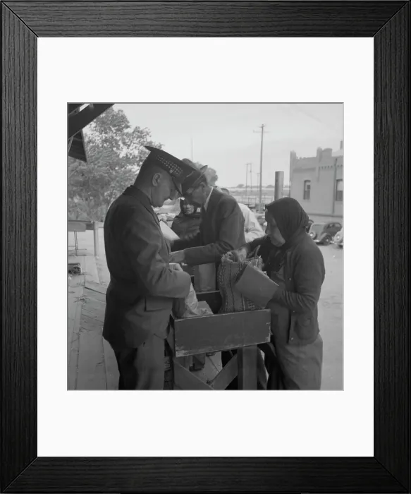 Framed Print : Plant quarantine inspectors examining goods bought... before entering El Paso, Texas, 1937. Creator: Dorothea Lange Framed Print : Plant quarantine inspectors examining goods bought... before entering El Paso, Texas, 1937. Creator: Dorothea Lange