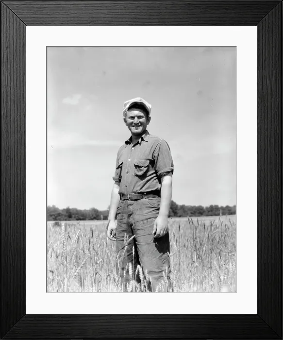 Framed Print : Homesteader, farmer, who has been working on the community farm since 1934, Hightstown, NJ, 1936. Creator: Dorothea Lange Framed Print : Homesteader, farmer, who has been working on the community farm since 1934, Hightstown, NJ, 1936. Creator: Dorothea Lange