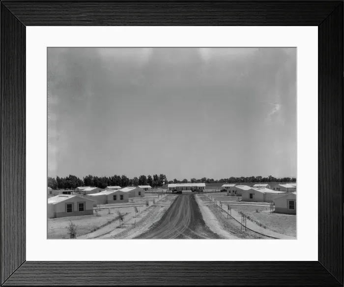 Framed Print : View of Resettlement Administration's part-time farms, Glendale, Arizona, 1937. Creator: Dorothea Lange