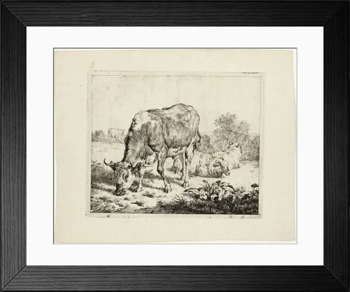 Framed Print : Bull Grazing and Three Sheep, 1670. Creator: Adriaen van de Velde Framed Print : Bull Grazing and Three Sheep, 1670. Creator: Adriaen van de Velde
