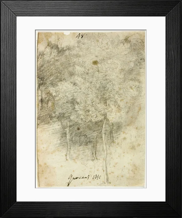 Framed Print : Grove of Trees, 1600 / 12. Creator: Federico Barocci