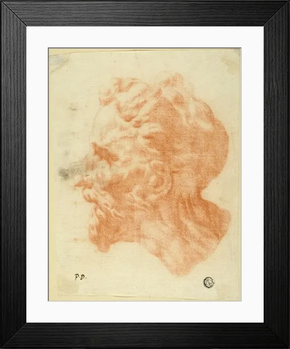 Framed Print : Head of Bearded Man in Profile to Left, n.d. Creator: Pietro Dandini Framed Print : Head of Bearded Man in Profile to Left, n.d. Creator: Pietro Dandini