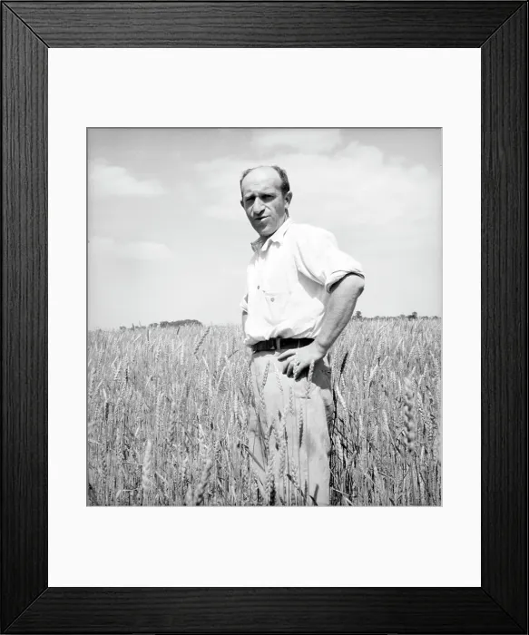 Framed Print : Member of the Hightstown farm group says: Who says Jews can't farm? Hightstown, New Jersey, 1936. Creator: Dorothea Lange. Member of the Hightstown farm group says: Who says Jews can't farm? Hightstown, New Jersey, 1936 Framed Print : Member of the Hightstown farm group says: Who says Jews can't farm? Hightstown, New Jersey, 1936. Creator: Dorothea Lange. Member of the Hightstown farm group says: Who says Jews can't farm? Hightstown, New Jersey, 1936