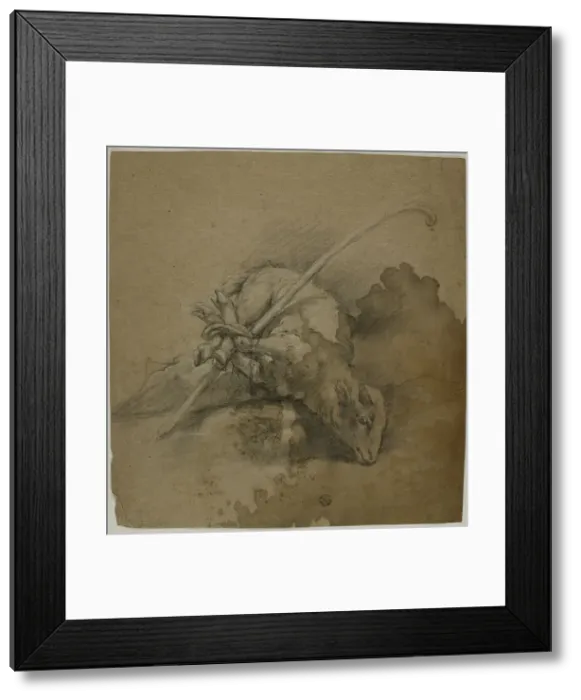 Framed Print : Lamb Bound to Shepherd's Crook (recto); Seated Academic Male Nude, From Back... n.d. Creator: School of Giovanni Battista Piazzetta Framed Print : Lamb Bound to Shepherd's Crook (recto); Seated Academic Male Nude, From Back... n.d. Creator: School of Giovanni Battista Piazzetta
