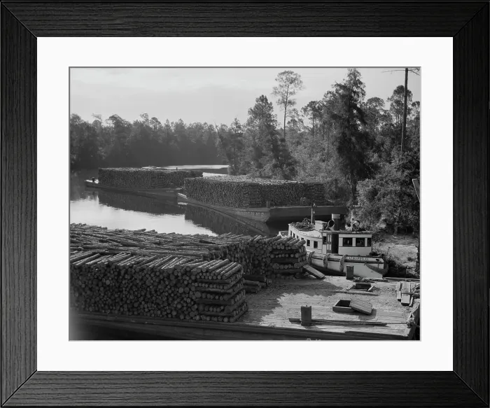 Framed Print : Pulpwood going down the River Styx to Mobile by inland waterway, near Robertsdale, Alabama, 1937. Creator: Dorothea Lange Framed Print : Pulpwood going down the River Styx to Mobile by inland waterway, near Robertsdale, Alabama, 1937. Creator: Dorothea Lange
