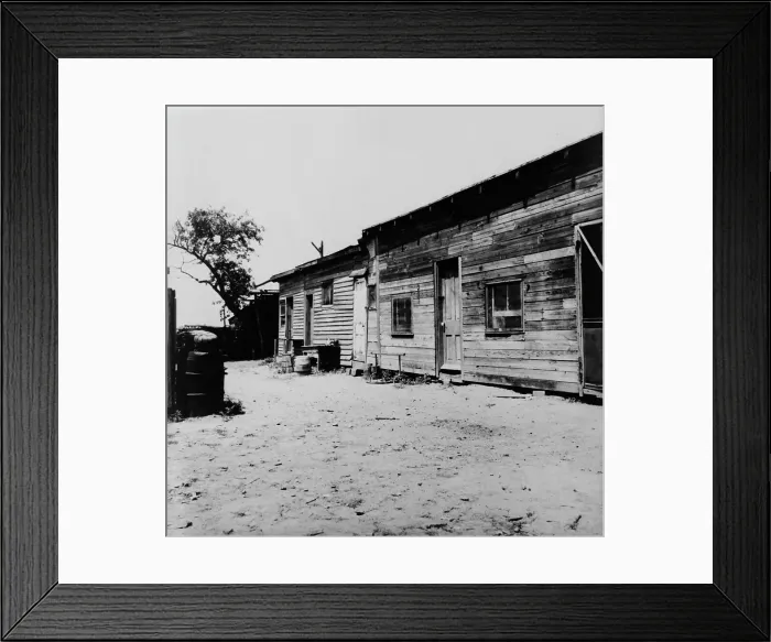Framed Print : Housing of migrant berry pickers in southern New Jersey, 1936. Creator: Dorothea Lange Framed Print : Housing of migrant berry pickers in southern New Jersey, 1936. Creator: Dorothea Lange