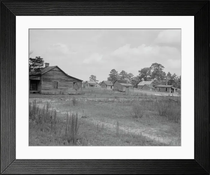 Framed Print : A sawmill village, abandoned after the closing of the mill, Careyville, Florida, 1937. Creator: Dorothea Lange