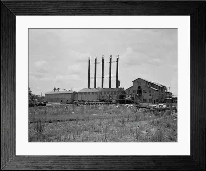 Framed Print : Lumber mill being dismantled, Careyville, Florida, 1937. Creator: Dorothea Lange Framed Print : Lumber mill being dismantled, Careyville, Florida, 1937. Creator: Dorothea Lange