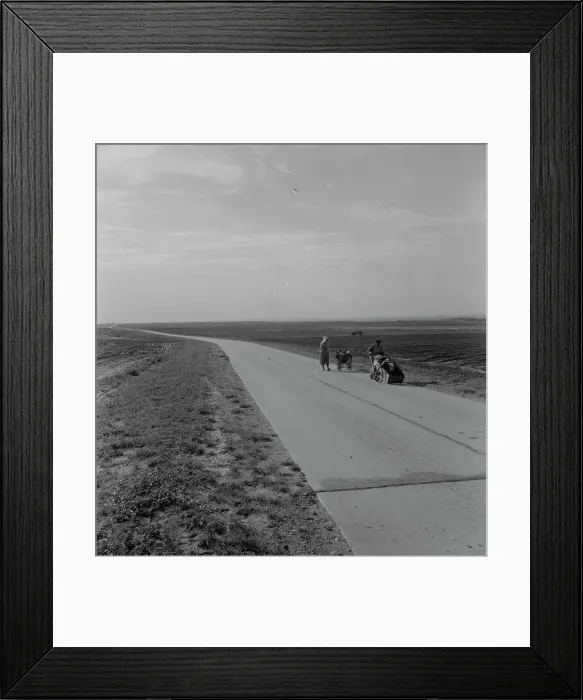 Framed Print : Flood refugee family near Memphis, Texas, 1937. Creator: Dorothea Lange Framed Print : Flood refugee family near Memphis, Texas, 1937. Creator: Dorothea Lange