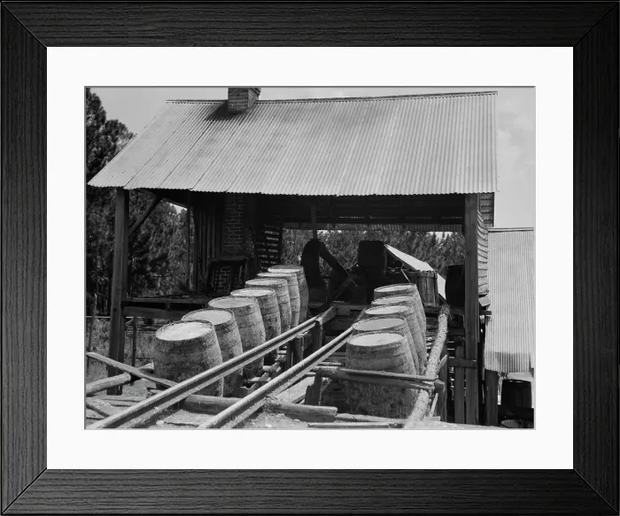 Framed Print : Turpentine still in the Piney Woods near Valdosta, Georgia, 1937. Creator: Dorothea Lange Framed Print : Turpentine still in the Piney Woods near Valdosta, Georgia, 1937. Creator: Dorothea Lange