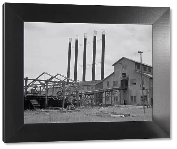 Lumber mill being dismantled at Careyville, Florida, 1937. Creator: Dorothea Lange