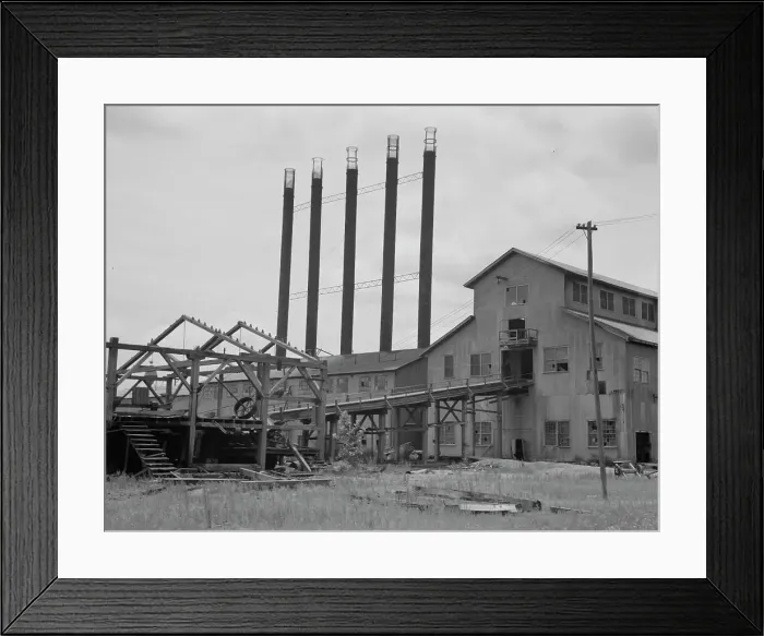 Framed Print : Lumber mill being dismantled at Careyville, Florida, 1937. Creator: Dorothea Lange Framed Print : Lumber mill being dismantled at Careyville, Florida, 1937. Creator: Dorothea Lange