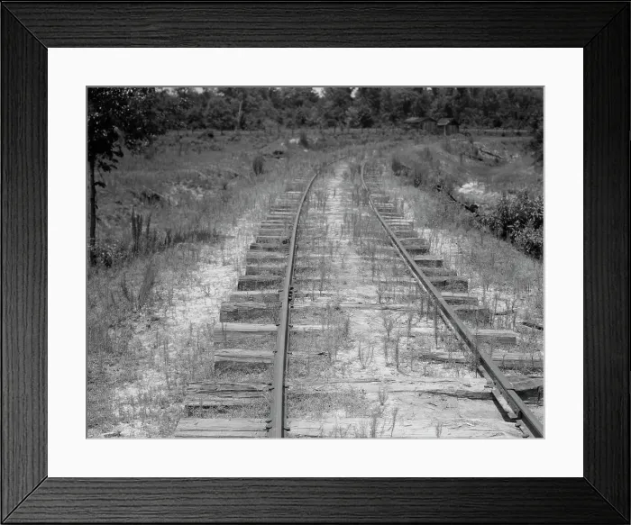 Framed Print : The lumber mill closed, the track is being torn up, Careyville, Florida, 1937. Creator: Dorothea Lange Framed Print : The lumber mill closed, the track is being torn up, Careyville, Florida, 1937. Creator: Dorothea Lange