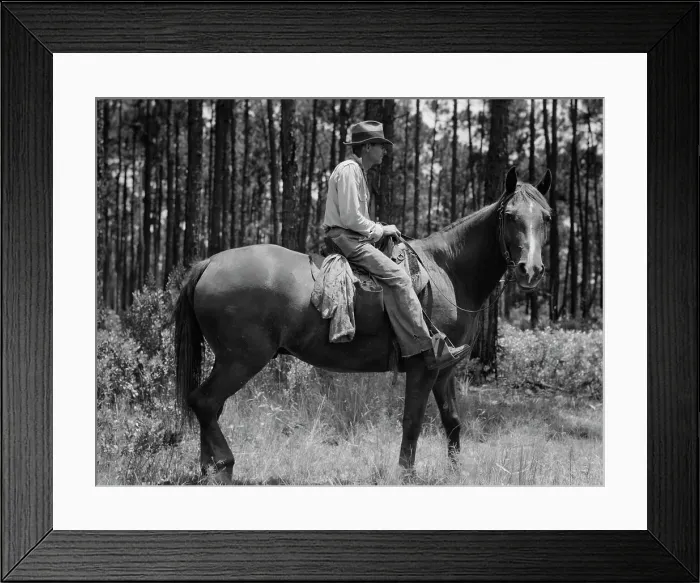 Framed Print : Overseer in the turpentine woods, Georgia, 1937. Creator: Dorothea Lange Framed Print : Overseer in the turpentine woods, Georgia, 1937. Creator: Dorothea Lange