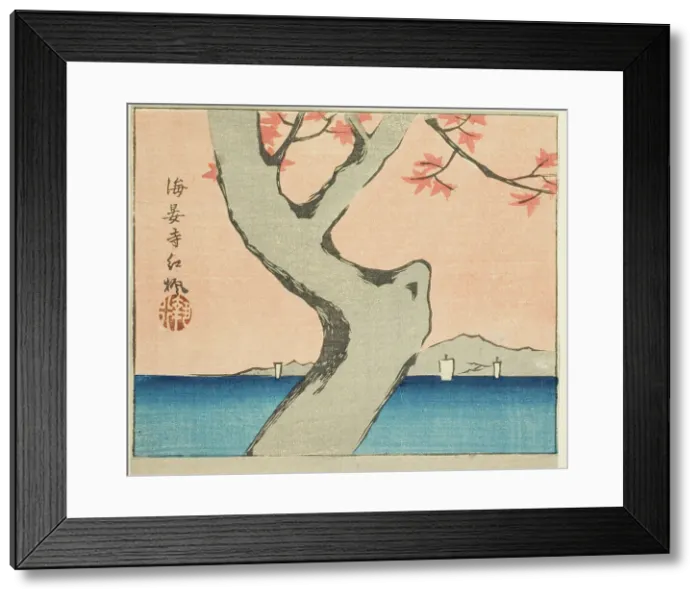 Framed Print : Maple Leaves at Kaian Temple (Kaianji benikaede), section of a sheet from the series Cuto... 1857. Creator: Ando Hiroshige. Maple Leaves at Kaian Temple (Kaianji benikaede), section of a sheet from the series Cuto... 1857 Framed Print : Maple Leaves at Kaian Temple (Kaianji benikaede), section of a sheet from the series Cuto... 1857. Creator: Ando Hiroshige. Maple Leaves at Kaian Temple (Kaianji benikaede), section of a sheet from the series Cuto... 1857