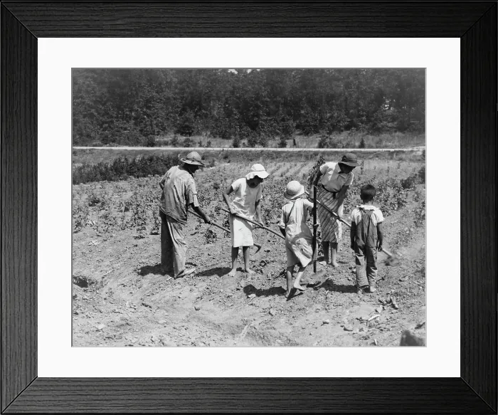 Framed Print : Alabama tenant farmer and children, Near Anniston, Alabama, 1936. Creator: Dorothea Lange Framed Print : Alabama tenant farmer and children, Near Anniston, Alabama, 1936. Creator: Dorothea Lange