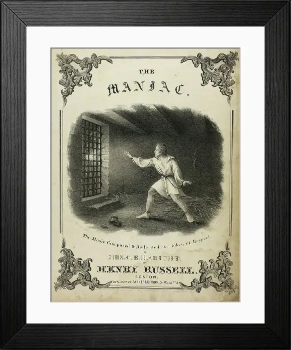 Framed Print : The Maniac, 1880. Creator: Fitz Hugh Lane Framed Print : The Maniac, 1880. Creator: Fitz Hugh Lane