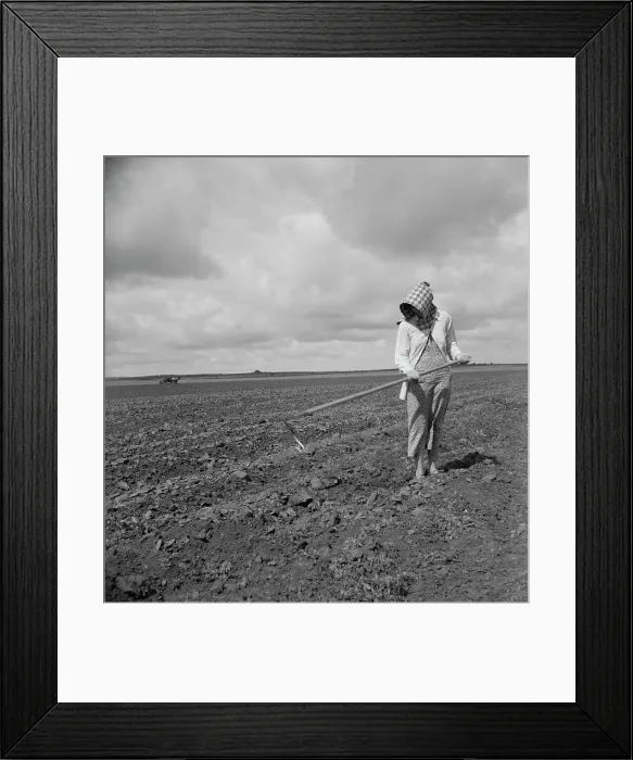 Framed Print : Wife of Texas tenant farmer, 1937. Creator: Dorothea Lange Framed Print : Wife of Texas tenant farmer, 1937. Creator: Dorothea Lange