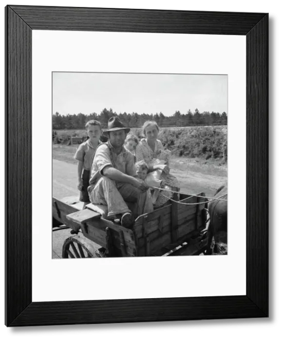 Framed Print : Sharecropper family near Hazlehurst, Georgia, 1937. Creator: Dorothea Lange Framed Print : Sharecropper family near Hazlehurst, Georgia, 1937. Creator: Dorothea Lange