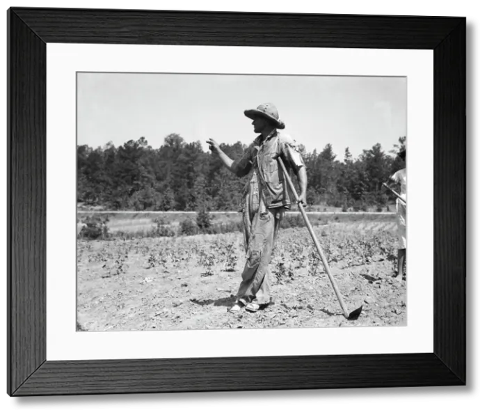 Framed Print : Alabama tenant farmer near Anniston, Alabama, 1936. Creator: Dorothea Lange Framed Print : Alabama tenant farmer near Anniston, Alabama, 1936. Creator: Dorothea Lange