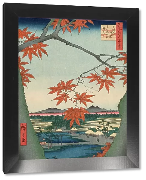 Maple Trees at Mama, Tekona Shrine and Tsugi Bridge (Mama no momiji, Tekona no yashiro, Ts... 1857. Creator: Ando Hiroshige)