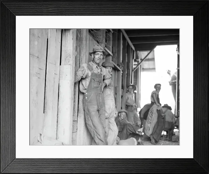 Framed Print : Farm hands - threshing day near Durham, North Carolina, 1936. Creator: Dorothea Lange Framed Print : Farm hands - threshing day near Durham, North Carolina, 1936. Creator: Dorothea Lange