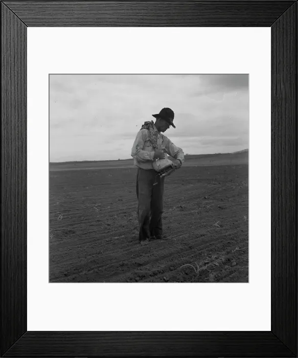 Framed Print : West Texas farmer prepares to sow millet, 1937. Creator: Dorothea Lange Framed Print : West Texas farmer prepares to sow millet, 1937. Creator: Dorothea Lange