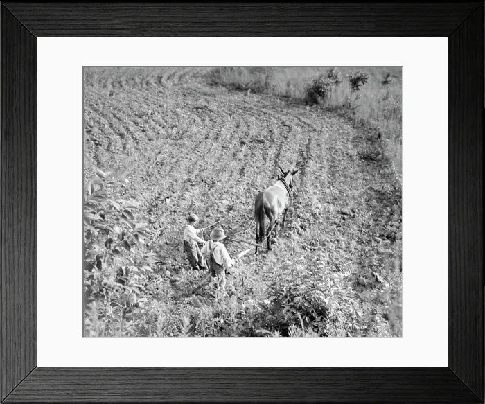 Framed Print : The older brother teaches the younger on a farm in the Piedmont, North Carolina, 1936. Creator: Dorothea Lange Framed Print : The older brother teaches the younger on a farm in the Piedmont, North Carolina, 1936. Creator: Dorothea Lange
