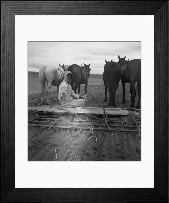 Framed Print : West Texas tenant farmer's wife, 1937. Creator: Dorothea Lange Framed Print : West Texas tenant farmer's wife, 1937. Creator: Dorothea Lange