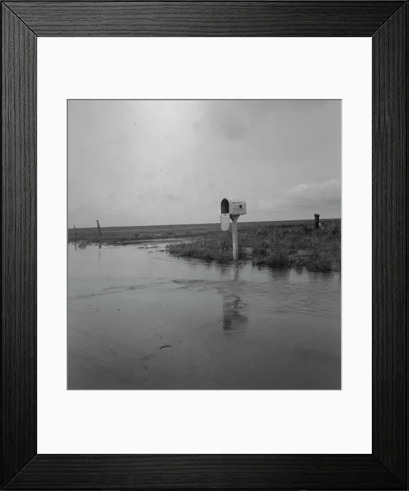 Framed Print : This year (1937) there are floods and heavy rains in the Dust Bowl, Texas, 1937. Creator: Dorothea Lange Framed Print : This year (1937) there are floods and heavy rains in the Dust Bowl, Texas, 1937. Creator: Dorothea Lange