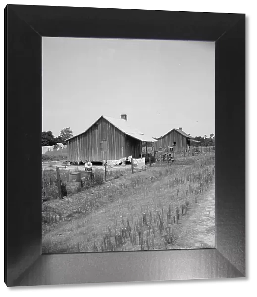 Home of turpentine workers near Godwinsville, Georgia, 1937. Creator: Dorothea Lange