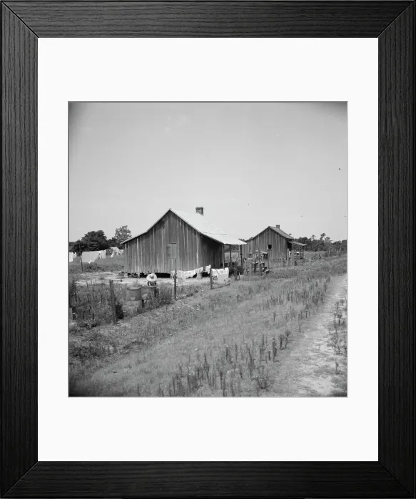 Framed Print : Home of turpentine workers near Godwinsville, Georgia, 1937. Creator: Dorothea Lange Framed Print : Home of turpentine workers near Godwinsville, Georgia, 1937. Creator: Dorothea Lange
