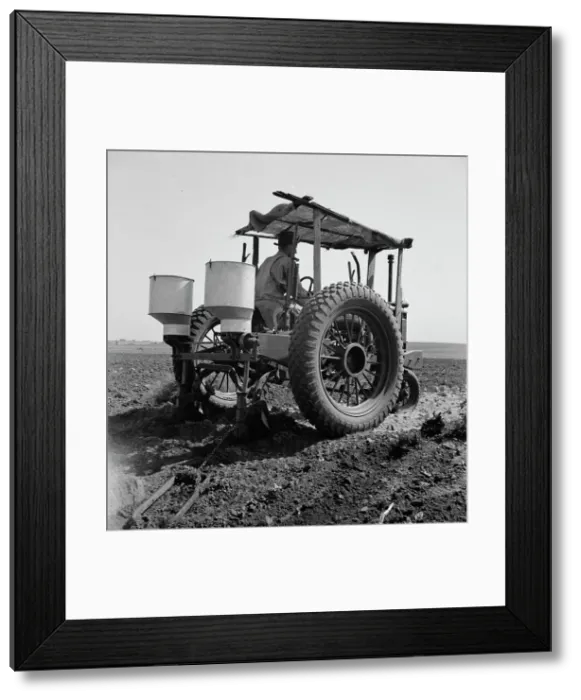 Framed Print : Tractor and operator, Navarro, Texas, 1937. Creator: Dorothea Lange Framed Print : Tractor and operator, Navarro, Texas, 1937. Creator: Dorothea Lange