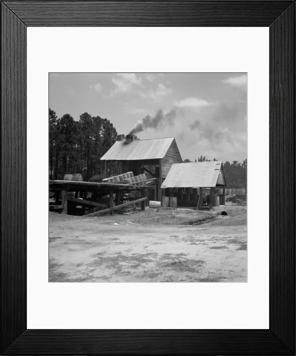 Framed Print : Turpentine still in the Piney Woods near Valdosta, Georgia, 1937. Creator: Dorothea Lange Framed Print : Turpentine still in the Piney Woods near Valdosta, Georgia, 1937. Creator: Dorothea Lange