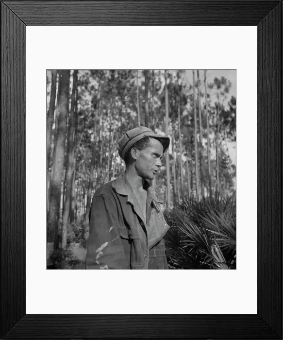 Framed Print : Turpentine chipper near Homerville, Georgia, 1937. Creator: Dorothea Lange. Turpentine chipper near Homerville, Georgia, 1937. Creator: Dorothea Lange Framed Print : Turpentine chipper near Homerville, Georgia, 1937. Creator: Dorothea Lange. Turpentine chipper near Homerville, Georgia, 1937. Creator: Dorothea Lange