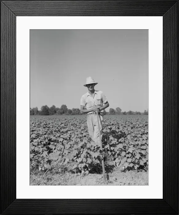 Framed Print : Sharecropper of the Mississippi Delta, Issaquena County, Mississippi, 1937. Creator: Dorothea Lange Framed Print : Sharecropper of the Mississippi Delta, Issaquena County, Mississippi, 1937. Creator: Dorothea Lange