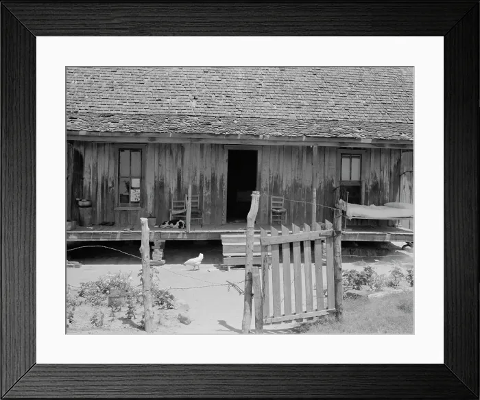Framed Print : Home of white tenant farmer family, Newport, Oklahoma, 1937. Creator: Dorothea Lange Framed Print : Home of white tenant farmer family, Newport, Oklahoma, 1937. Creator: Dorothea Lange