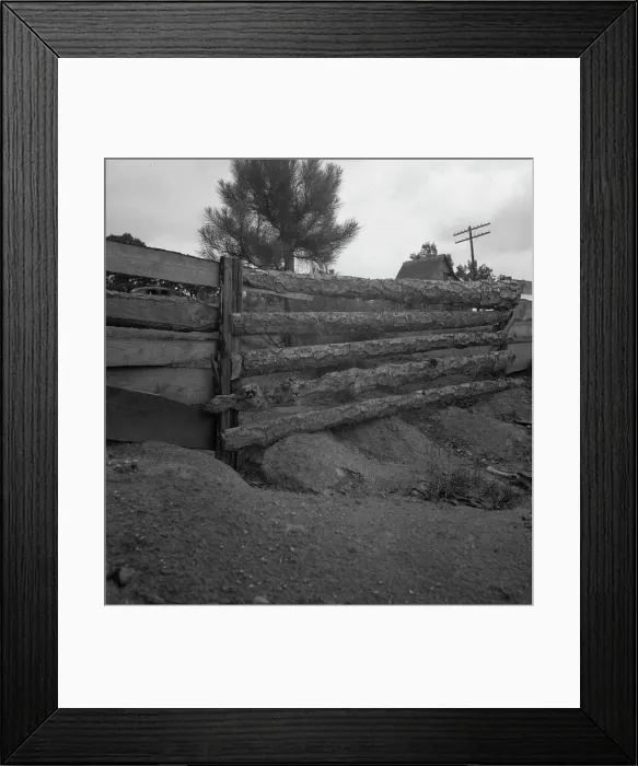 Framed Print : Eroding field and fence, Greene County, Georgia, 1937. Creator: Dorothea Lange Framed Print : Eroding field and fence, Greene County, Georgia, 1937. Creator: Dorothea Lange