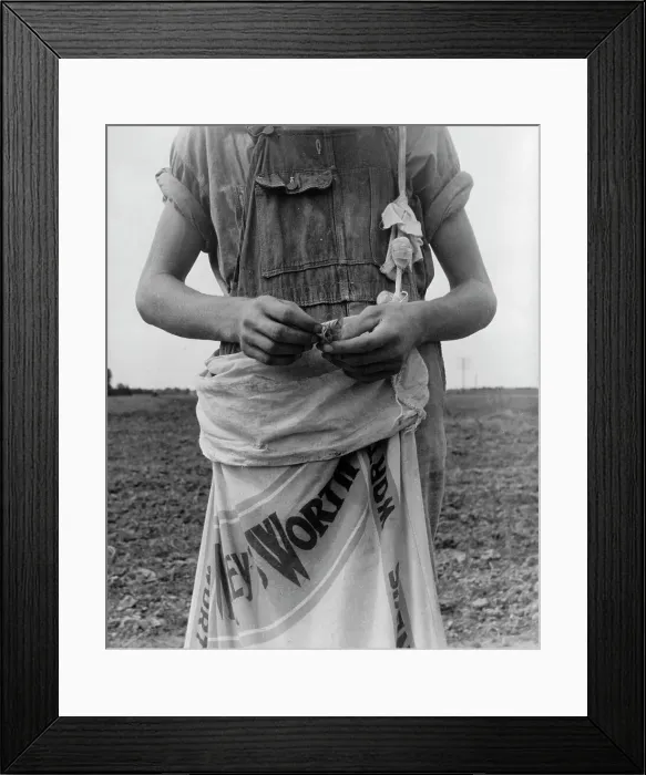 Framed Print : Farm boy with sack full of boll weevils...off of cotton plants, Macon County, Georgia, 1937. Creator: Dorothea Lange Framed Print : Farm boy with sack full of boll weevils...off of cotton plants, Macon County, Georgia, 1937. Creator: Dorothea Lange